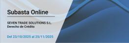  SEVEN TRADE SOLUTIONS S.L