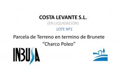 Terreno Rustico Brunete - Charco Poleo